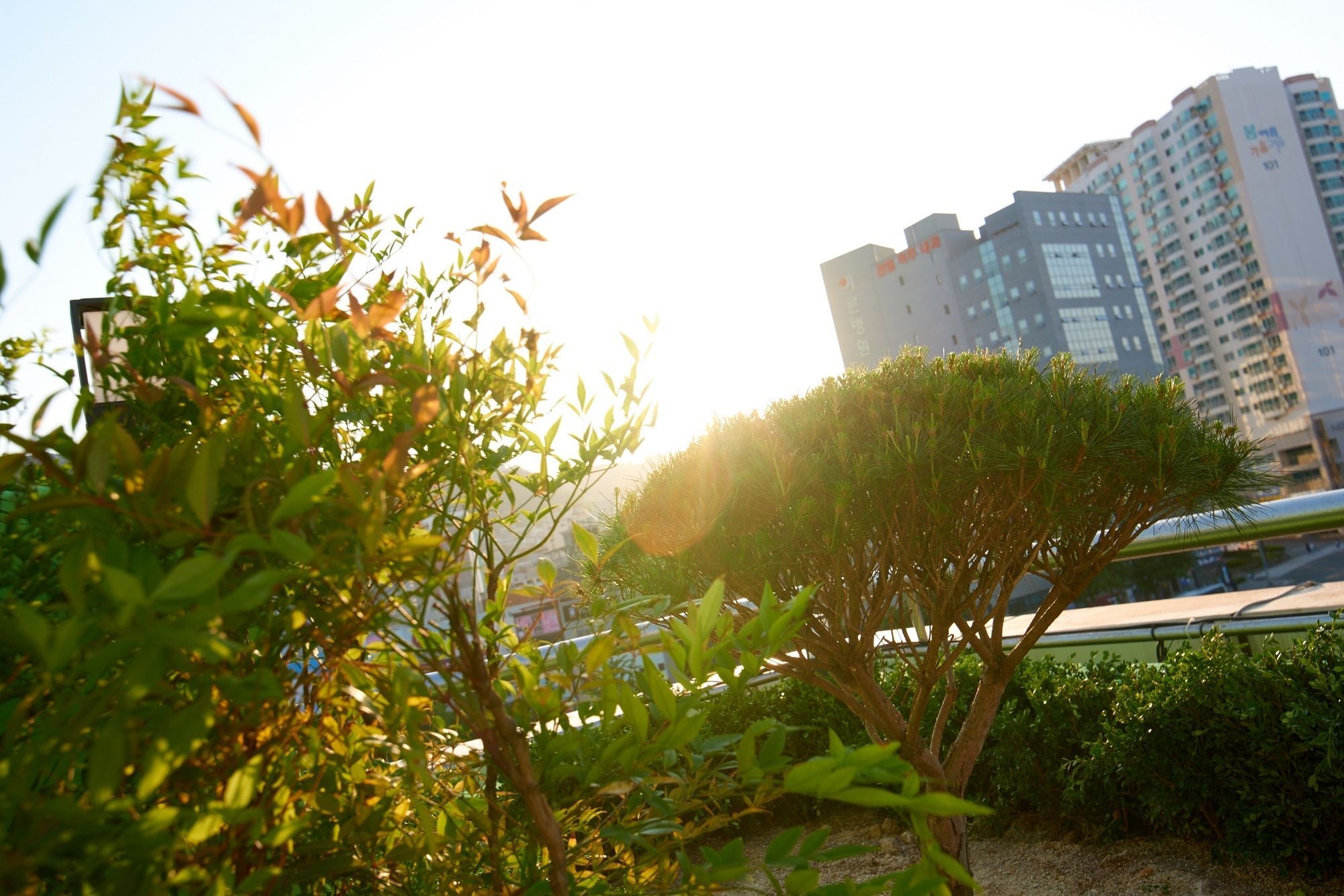 24 Pensión Jagalchi Ciudad Metropolitana de Ciudad Metropolitana de Busan Exterior foto